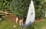 Radio Controlled Sailing