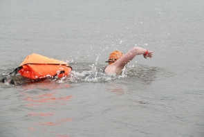 OWS in action