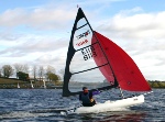 Menagerie fleet in action