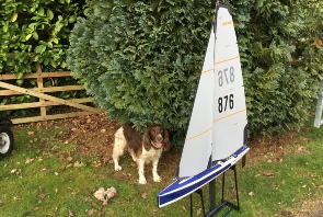 Virtual(ly) Sailing